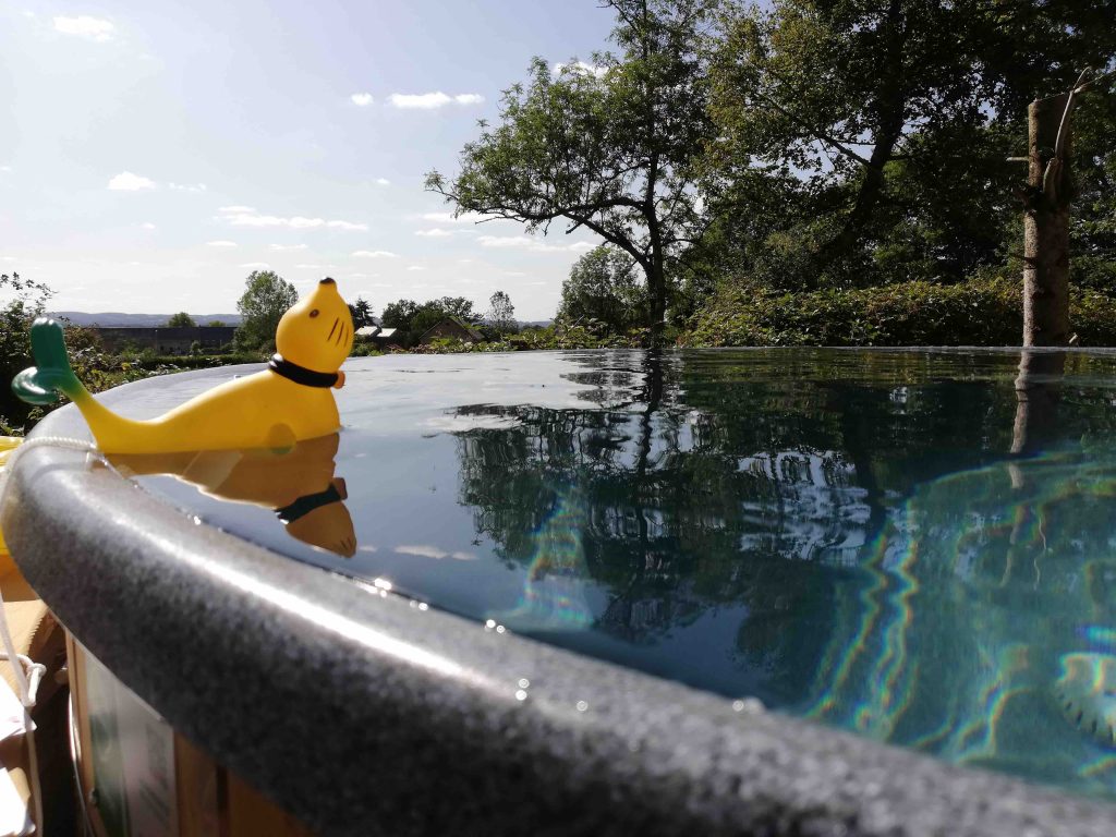 VakantiehuisLaChaux-hottub-water- zeehond